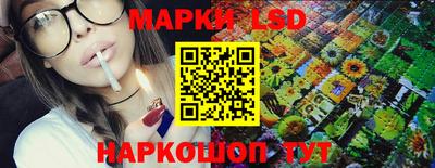 прущие грибы Новозыбков