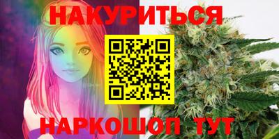 прущие грибы Новозыбков