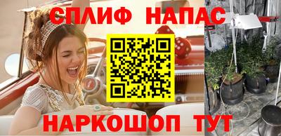 прущие грибы Новозыбков