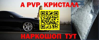 прущие грибы Новозыбков