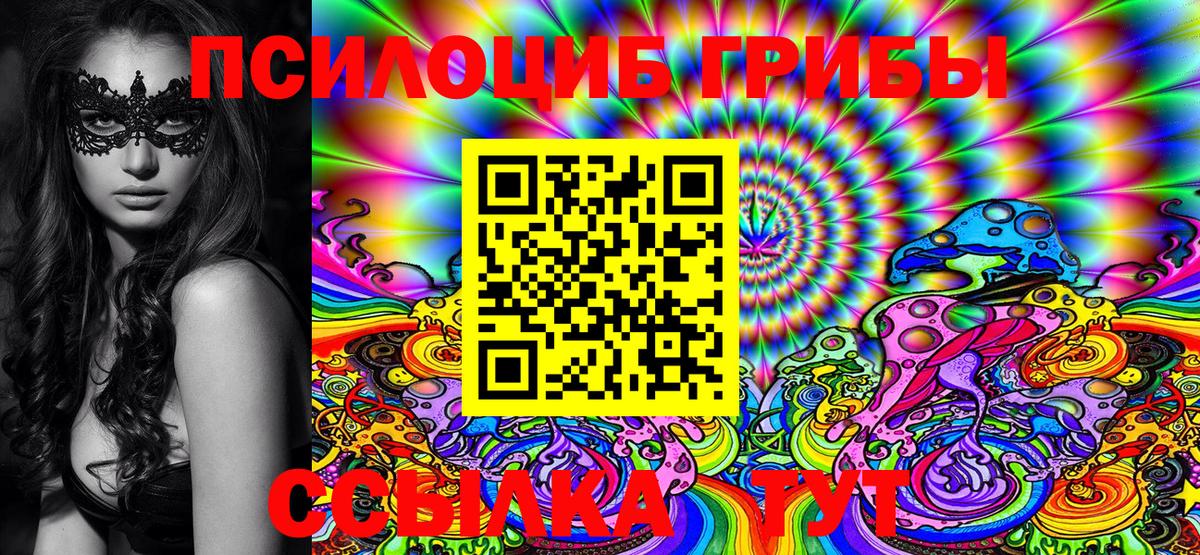 Галлюциногенные грибы Psilocybine cubensis Ханты-Мансийск