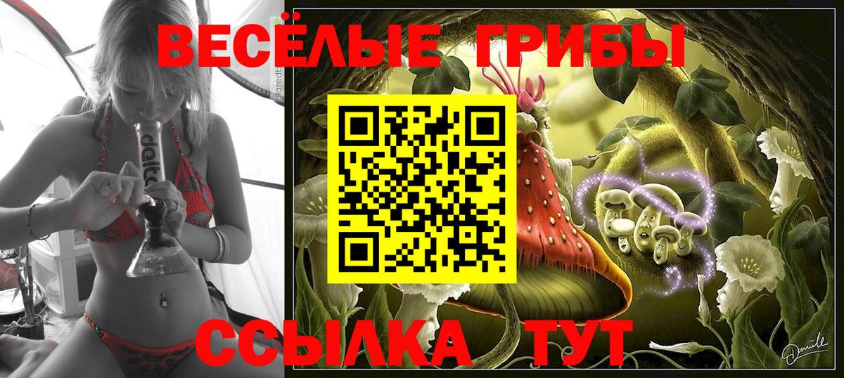 Псилоцибиновые грибы прущие грибы  Вход с VPN  Ханты-Мансийск 